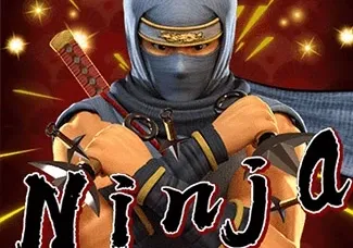 Ninja game icon